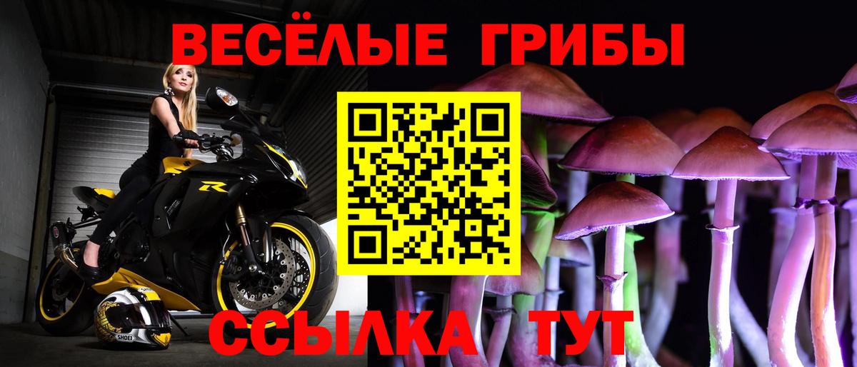 Галлюциногенные грибы Magic Shrooms Лесосибирск