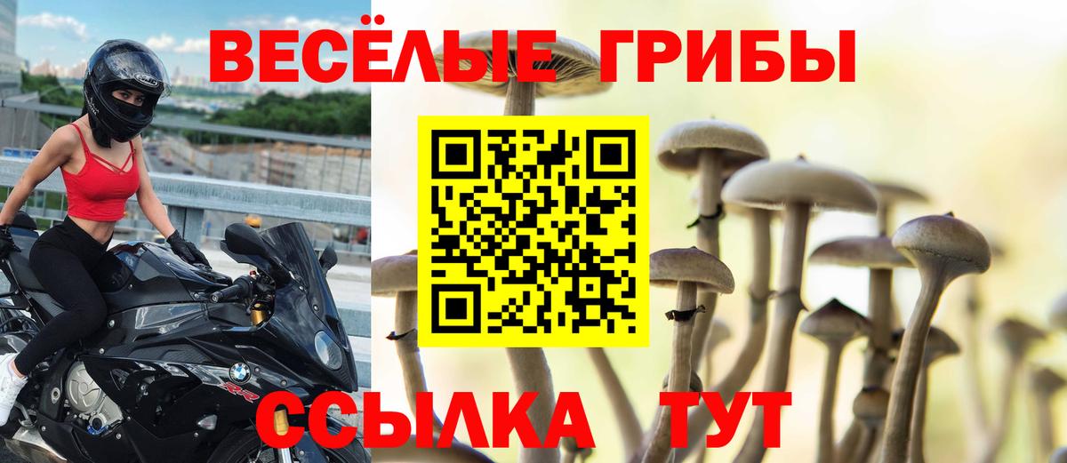 Галлюциногенные грибы ЛСД  Псилоцибиновые грибы Psilocybe  Вход с VPN  Лесосибирск 