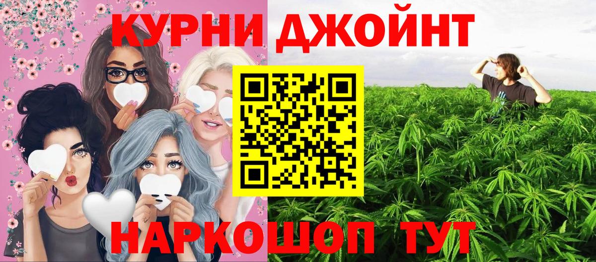 Шишки марихуана конопля  Конопля план  Вход с VPN  Марихуана сатива  Лесосибирск 